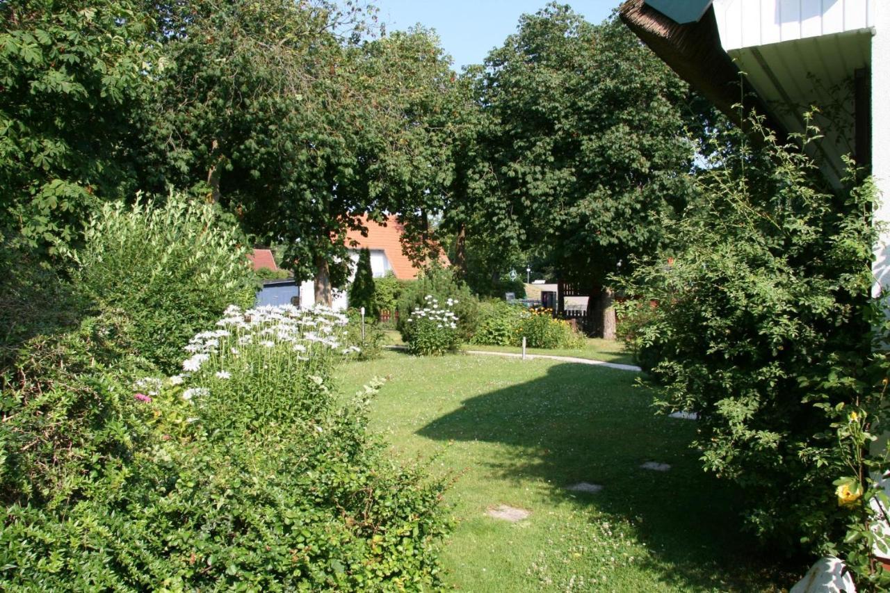 Appartement Strandstuebchen à Zingst Extérieur photo